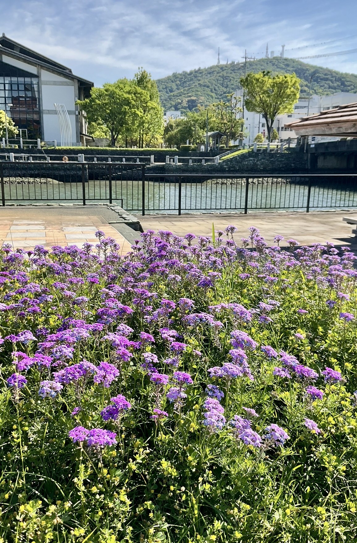 ５月５日　撮影